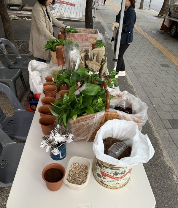 KakaoTalk_20200115_234642926_01